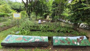 Kitchen Garden at Pasir Ris Park near Coastal Cabana EC