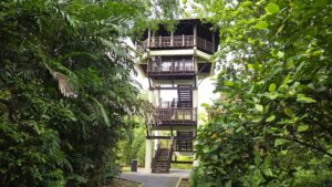 Pasir Ris Bird Watching Tower at Pasir Ris Park near Coastal Cabana EC