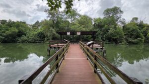 Pasir Ris Park Mangrove Jetty near Coastal Cabana EC